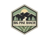 https://www.logocontest.com/public/logoimage/1616360016big pine.jpg